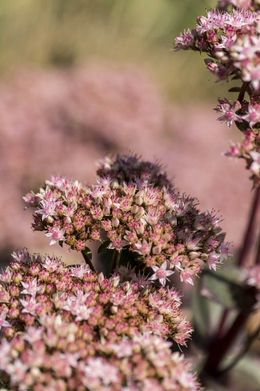 Profilbild von J&ouml;rg Belling