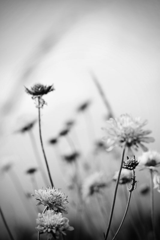 Profilbild von Udo Glandien